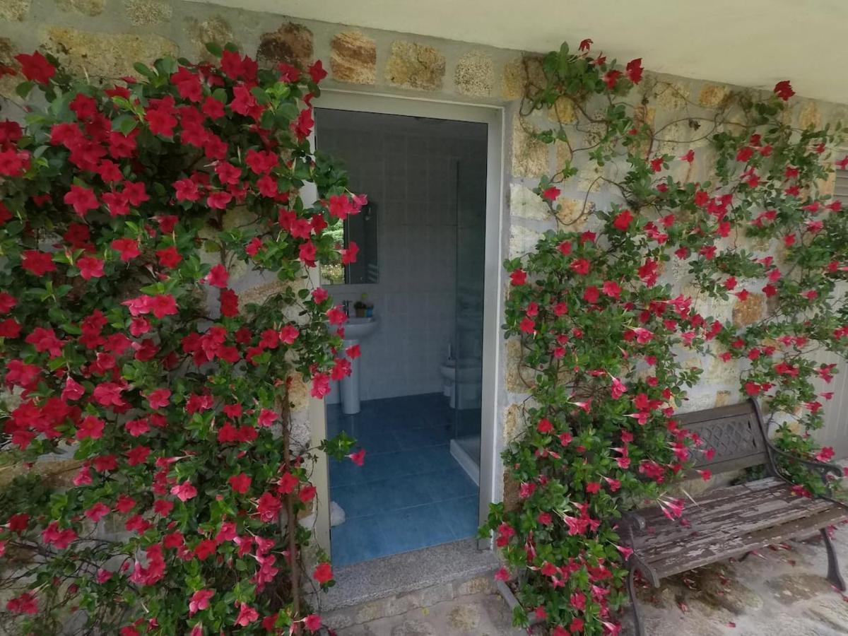 Valadas Guest House Canedo  Exterior photo